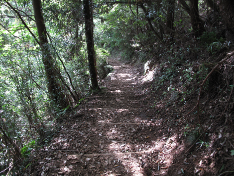 20171005hike (337)